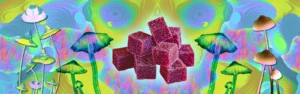 Psychedelic Mushroom Gummies
